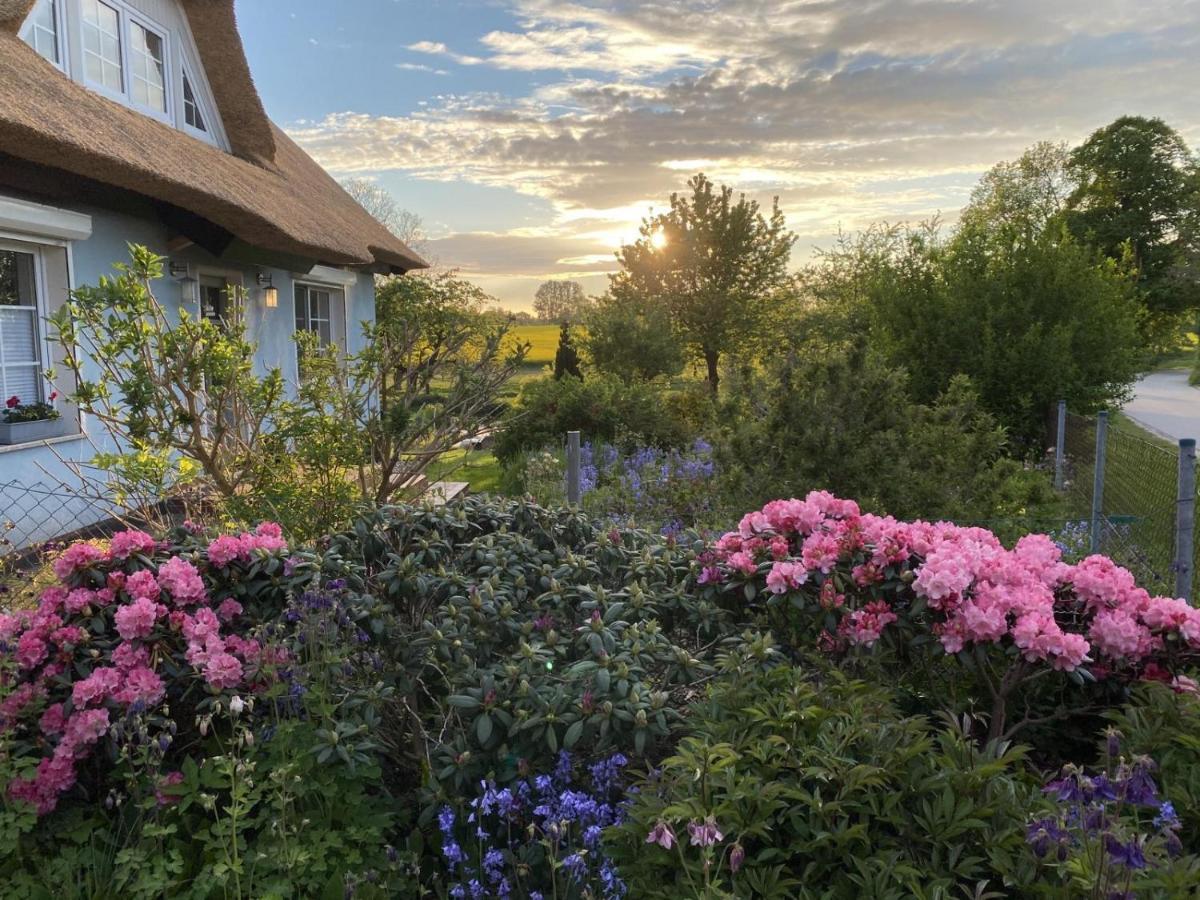 Reethaus Vilmnitz - Ferienwohnung Vilm エクステリア 写真